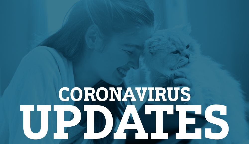 Coronavirus Updates
